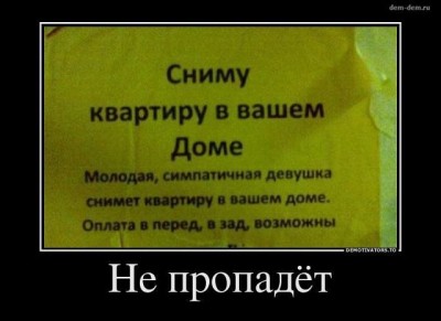 сниму.jpg