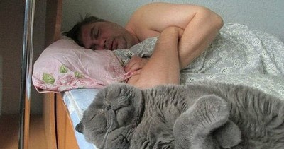 котики 1.jpg