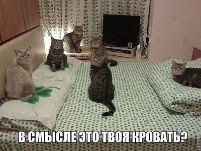 кровать.jpg
