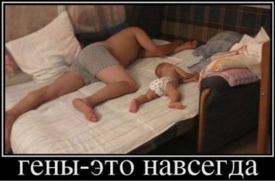 гены.jpg