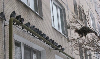 охотник 1.jpg