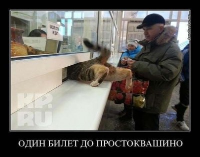 один билет.jpg