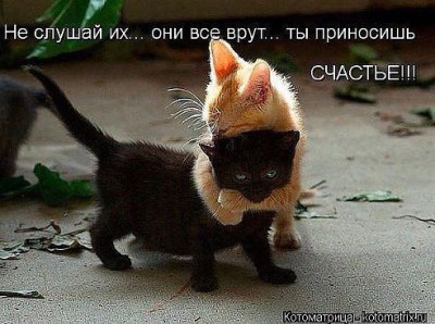 счастье.jpg