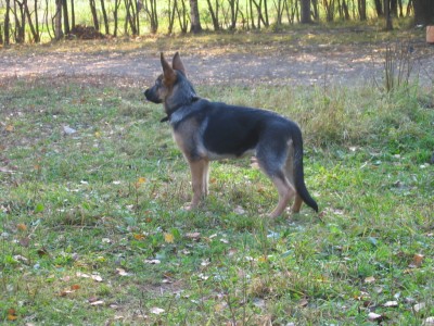 Изображение 012.jpg (608.42 КБ) 6834 просмотра Изображение 012.jpg