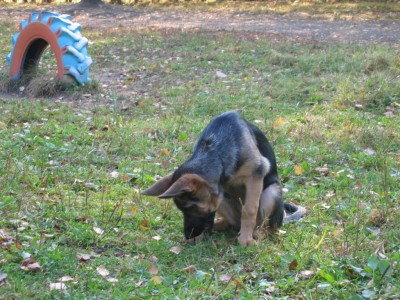 Изображение 023.jpg (608.34 КБ) 6825 просмотров Изображение 023.jpg