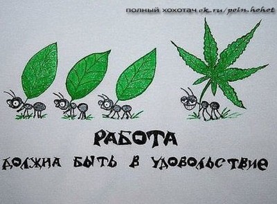 работа.jpg