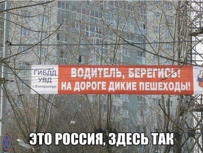 водитель.jpg