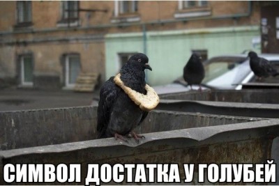 Uj6HTqveXJA.jpg