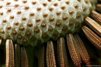 f_20572259.jpg (259.96 КБ) 9326 просмотров f_20572259.jpg