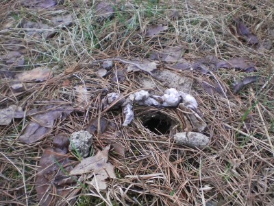 SANY0292.JPG (631.49 КБ) 9359 просмотров SANY0292.JPG