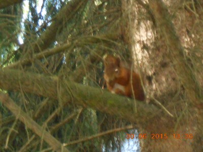 DSCN1140.JPG