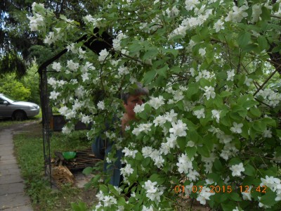 DSCN1145.JPG