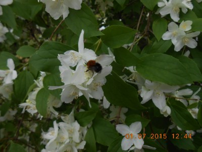 DSCN1149.JPG