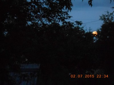 DSCN1155.JPG
