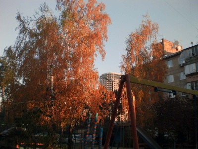 SANY0112-cor.jpg