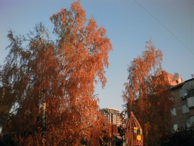 SANY0113-cor.jpg
