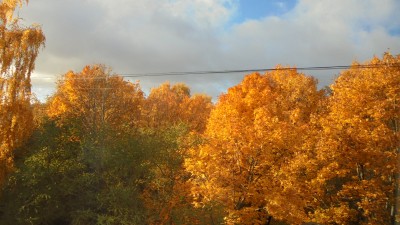 DSC01343.JPG