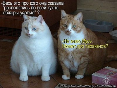 1363447666_1363354866_super-kotomatricy-10_resize.jpg