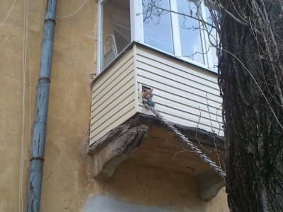 забота о котике.jpg