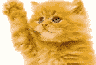 0011.GIF