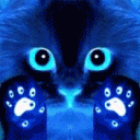 4409db22afec.gif