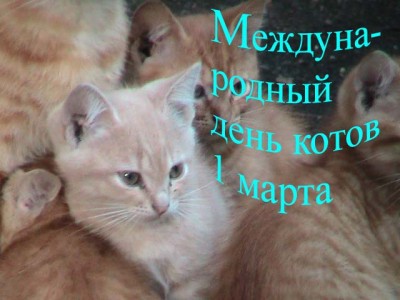 IMG_0134 копия.jpg