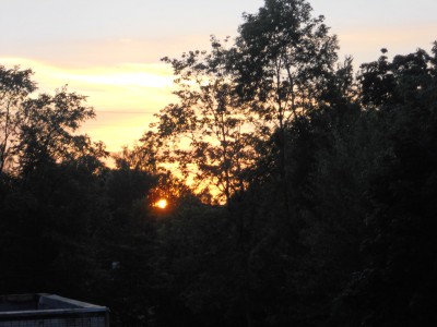 DSCN0385.jpg