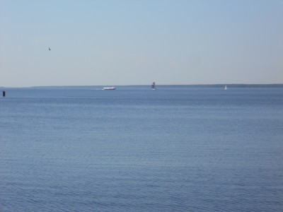 DSCN0397.jpg