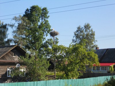 DSCN0388.jpg