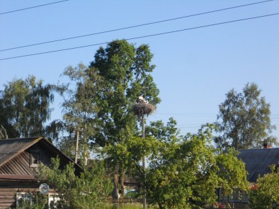 DSCN0387.jpg