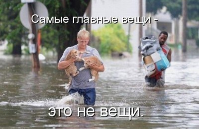 1342458654_7ad4082998.pic-bash.ru.jpg