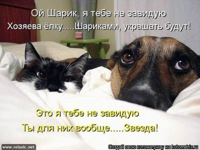 downlзoad.jpeg