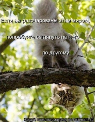 1359642_large.jpg