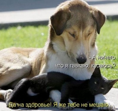 5u6XPfiTF0g.jpg