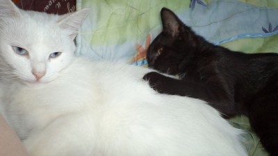 DSC00720.JPG