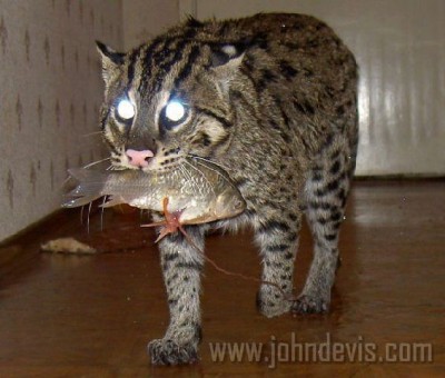 1VKXTLCAUNSRBNCA26T1ZVCAE5FCHBCA7YIIUICADC7NPYCA3QSACMCADSGSYGCAXVMDA0CAHNMTAHCAWODYRACAZD2CLKCA113X2UCANO1XFKCABDXEQMCAHOTYSSCAO3EVBCCABK4HDJCA53WT0Y.jpg