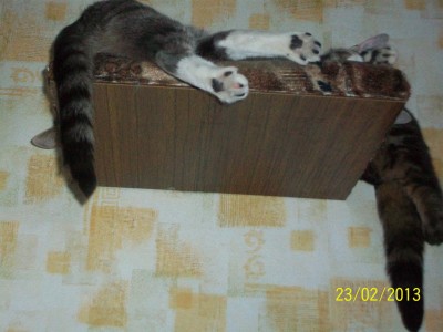 100_5643.JPG