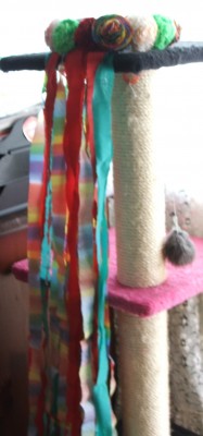 DSCF3281.JPG
