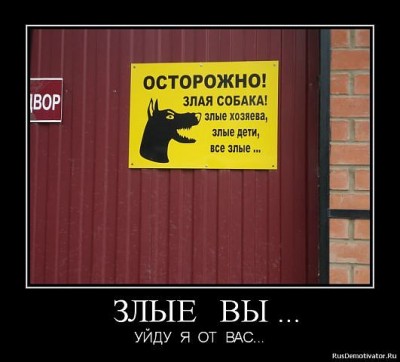 getImage собака.jpg