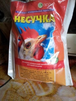 1несучка.jpg