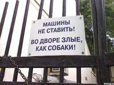 машины.jpg