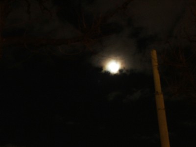 DSCF4871.JPG