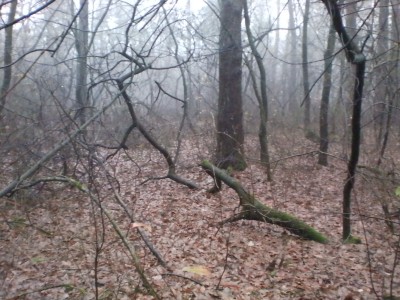 SANY0160.JPG